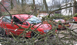 Storm schade Nederland