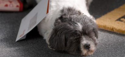 ‘Tjongejonge, de energietarieven zijn gedaald’