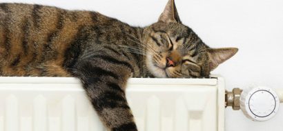 WarmteWinner van Eneco: dode mus of geniale uitvinding?