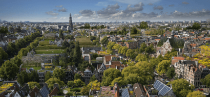 Groene daken: meer natuur in de stad