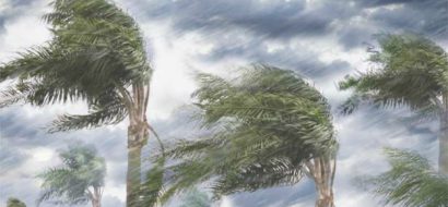 Soepel hé, die gigantische en meebuigende mega-windmolens