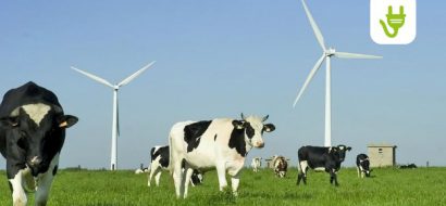 Onderzoek: Friezen minst groene overstappers van Nederland
