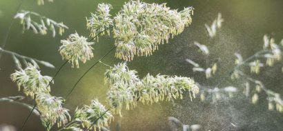 11 tips om hooikoorts draaglijker te maken