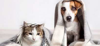 Griep en je zorgverzekering