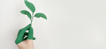 Wereldmilieudag: 9 tips om je steentje bij te dragen