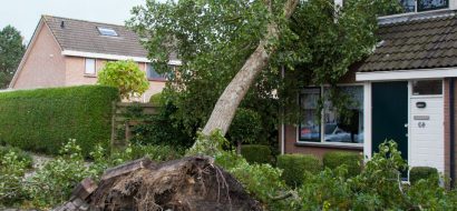 Stormschade door Ciara, Dennis of Ellen: wat is er verzekerd?