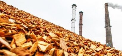 Zonder biomassa zijn doelen Klimaatakkoord onhaalbaar