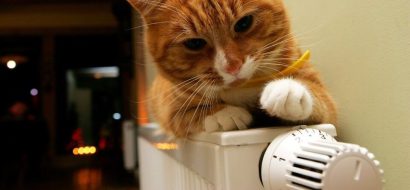 Gas besparen: 8 tips waarmee je bespaart op de verwarming