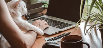 Bijna één op tien Nederlanders neemt huisdier in coronajaar