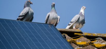 Bijna helft zonnepanelenbezitters maakt panelen nooit schoon