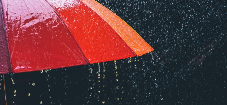 paraplu in de regen