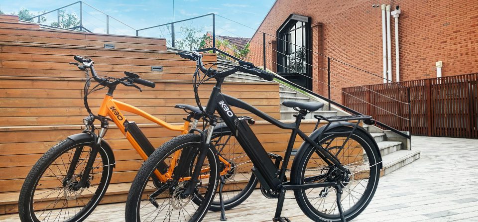 elektrische fietsverzekering
