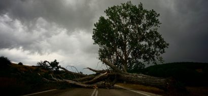 Wat te doen als er een boom op je huis valt? En andere stormschade