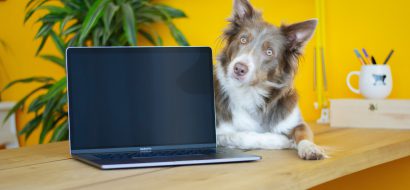 7 tips om te besparen op internet, tv en bellen