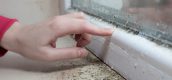Hand die de schimmel in huis aanwijst