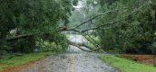 Stormschade gedekt