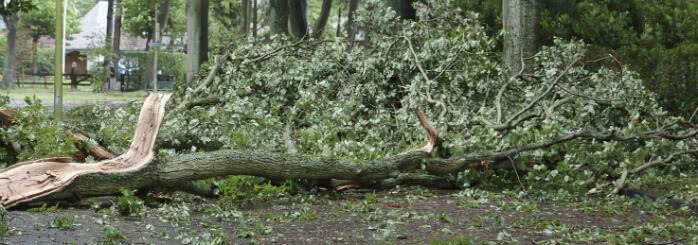 stormschade boom