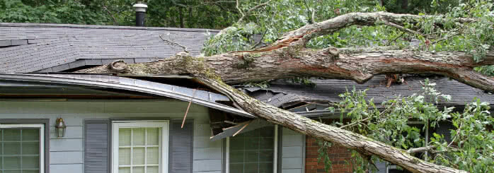 stormschade woning boom